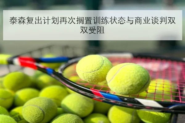 泰森复出计划再次搁置训练状态与商业谈判双双受阻